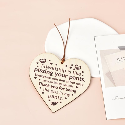 Funny Friendship Gifts Wooden Sign - Image 5