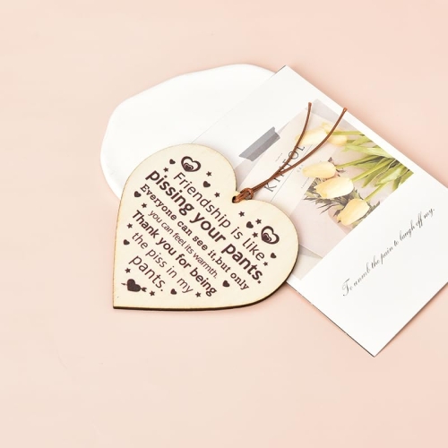 Funny Friendship Gifts Wooden Sign - Image 3