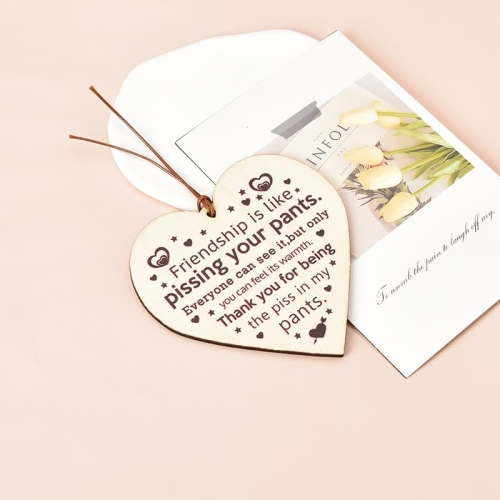 Funny Friendship Gifts Wooden Sign - Image 4