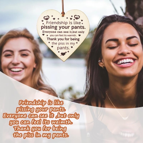 Funny Friendship Gifts Wooden Sign - Image 6