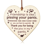 Funny Friendship Gifts Wooden Sign