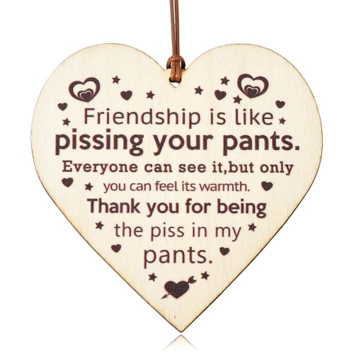 Funny Friendship Gifts Wooden Sign - Image 1