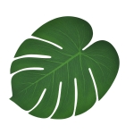 Tropical Artificial Palm Leaves, 30pcs - Image 3