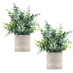 Eucalyptus Potted Artificial Plant, 2pack