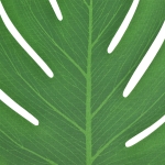 Tropical Artificial Palm Leaves, 30pcs - Image 2